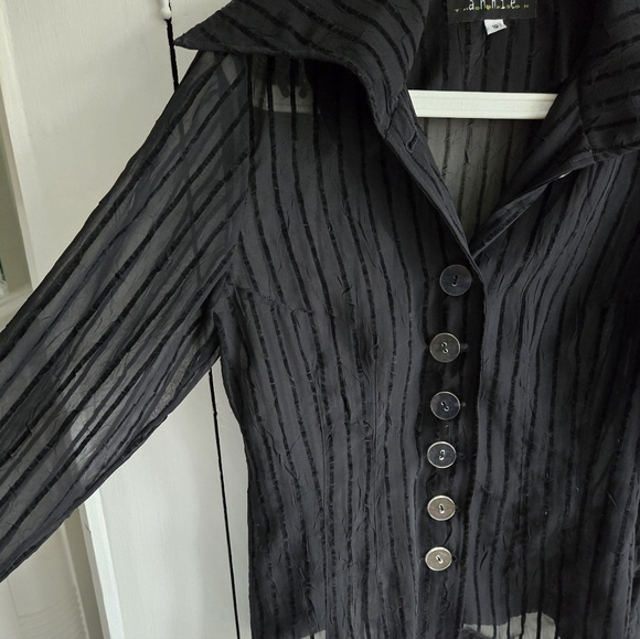 ANNIE THOMPSON Sheer Magic Black Dress Shirt. Fabulous Day to Night - Picture 2 of 6